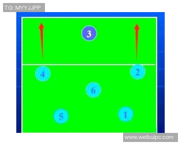 广州排球队防反体系解析：排球战术的创新与实践探讨